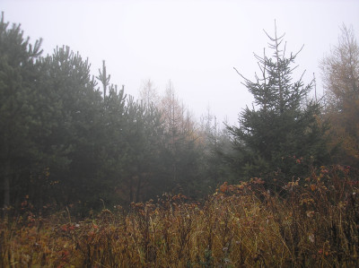 Tapeta: Svitavsk podzimn mlha 53