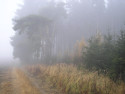 Tapeta Svitavská podzimní mlha 56
