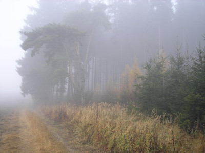 Tapeta: Svitavsk podzimn mlha 56