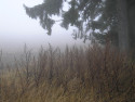 Tapeta Svitavská podzimní mlha 65