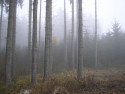 Tapeta Svitavská podzimní mlha 67