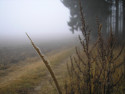Tapeta Svitavská podzimní mlha 74