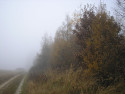 Tapeta Svitavská podzimní mlha 75