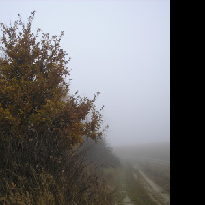 Tapeta svitavska_podzimni_mlha_76