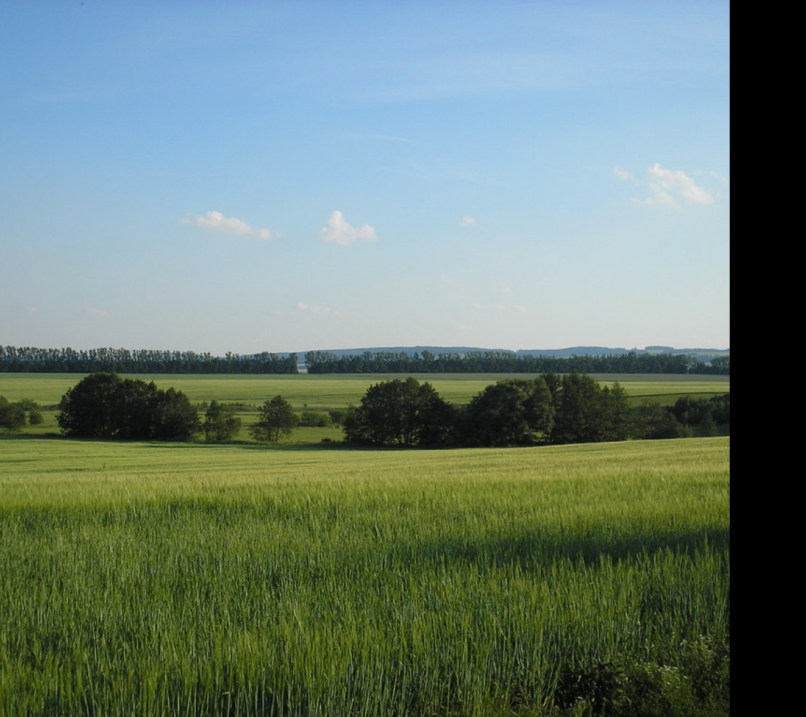 Tapeta svitavy_lany_03