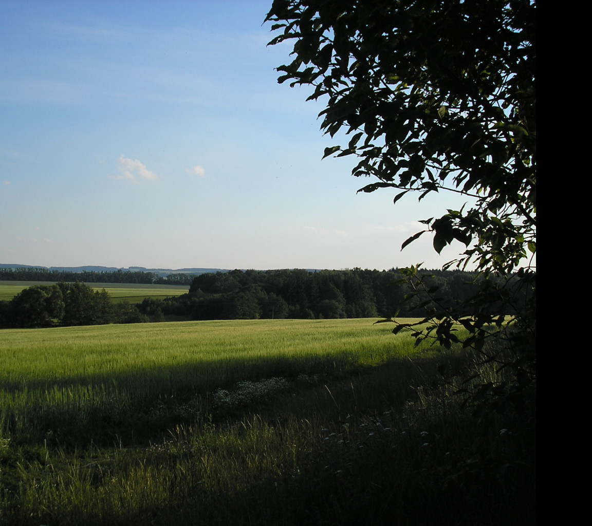 Tapeta svitavy_lany_04
