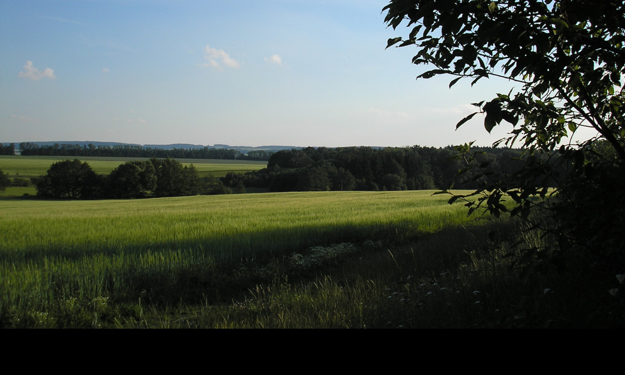Tapeta svitavy_lany_04