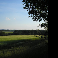 Tapeta svitavy_lany_04