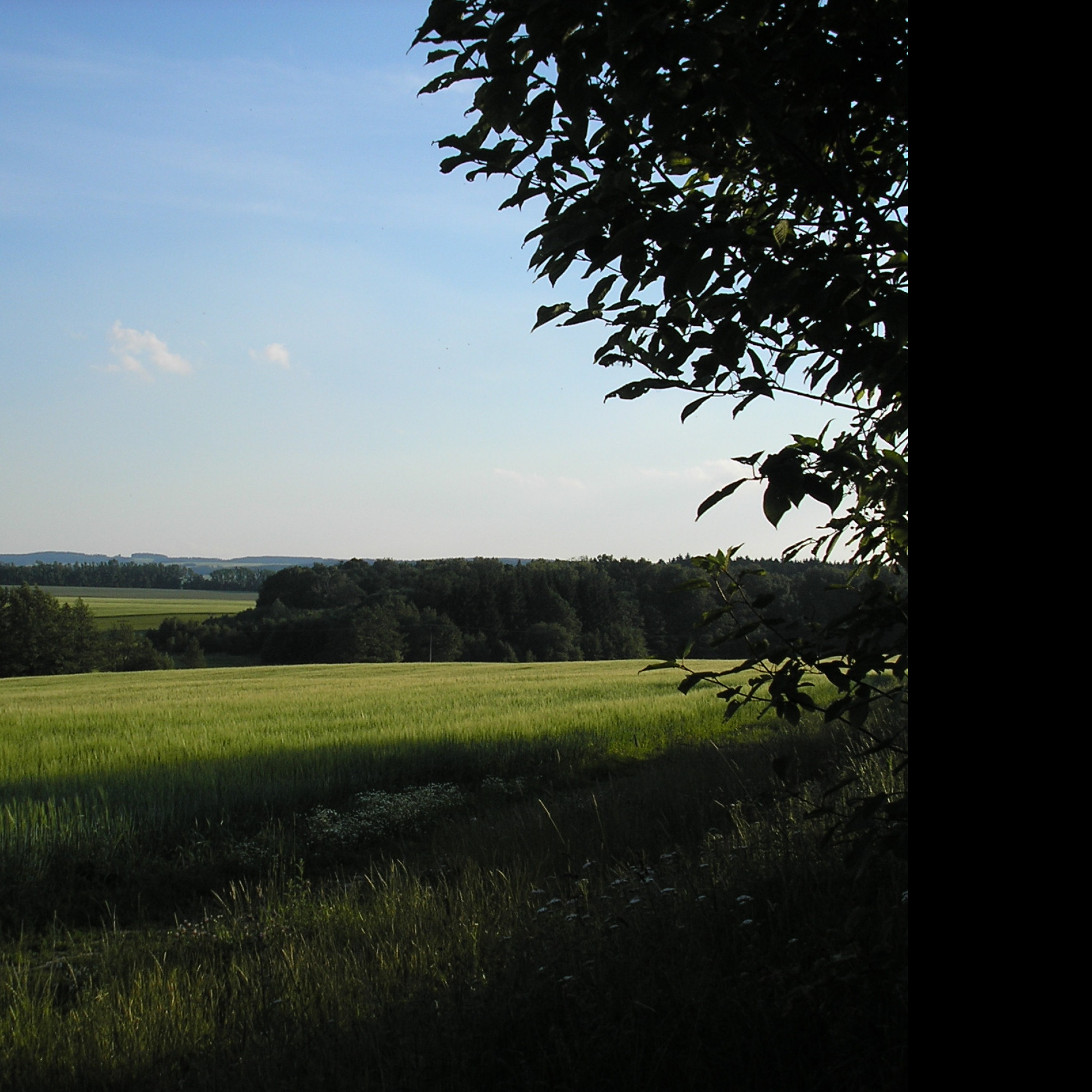 Tapeta svitavy_lany_04