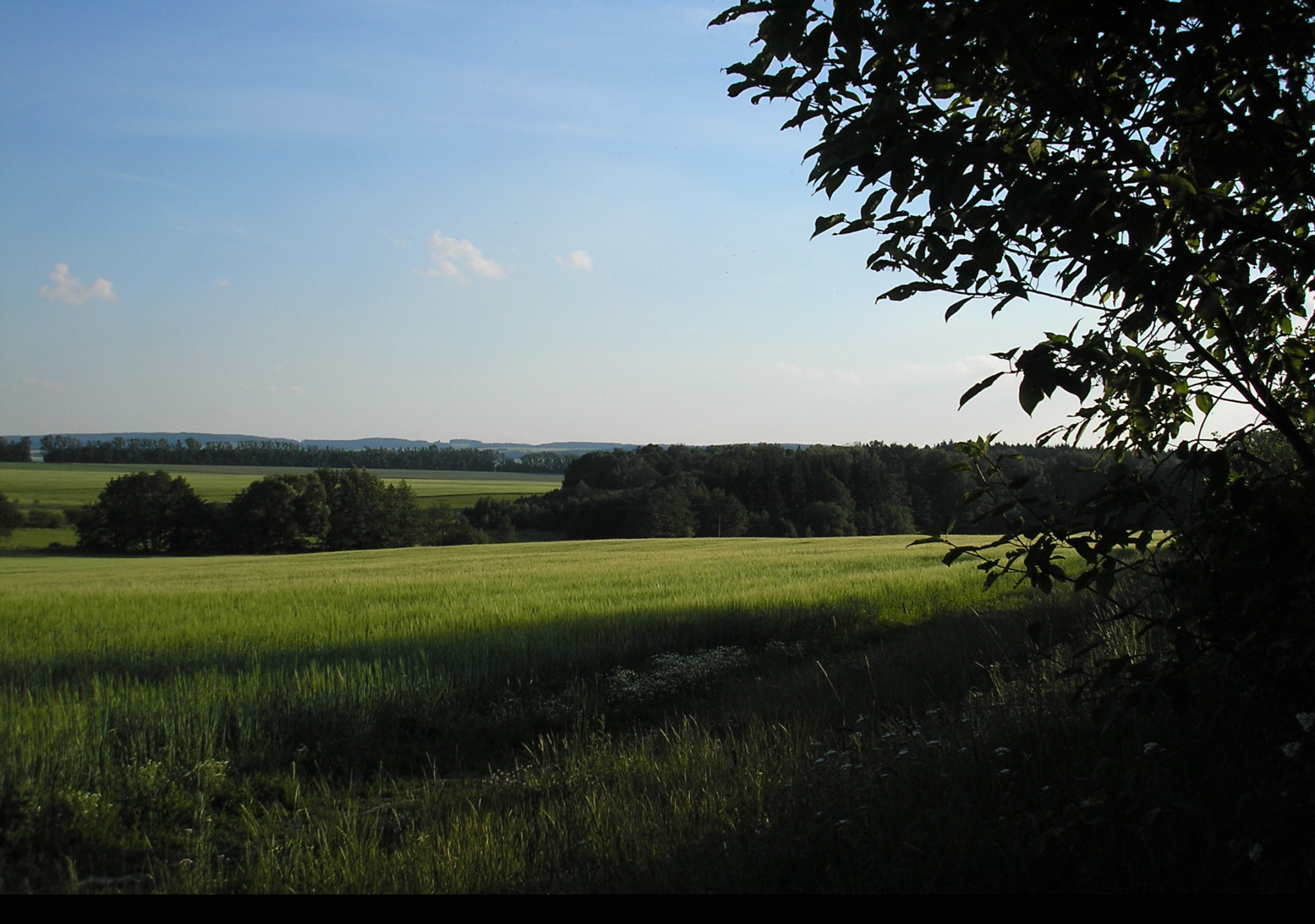 Tapeta svitavy_lany_04