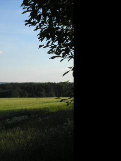 Tapeta svitavy_lany_04