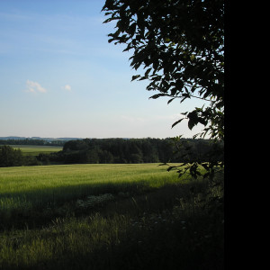 Tapeta svitavy_lany_04