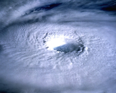 Tapeta: Tajfun Odessa