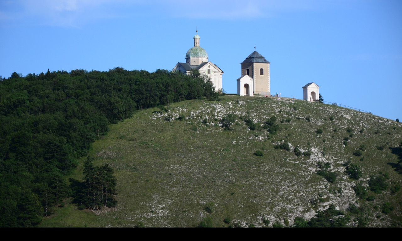 Tapeta tanzberg