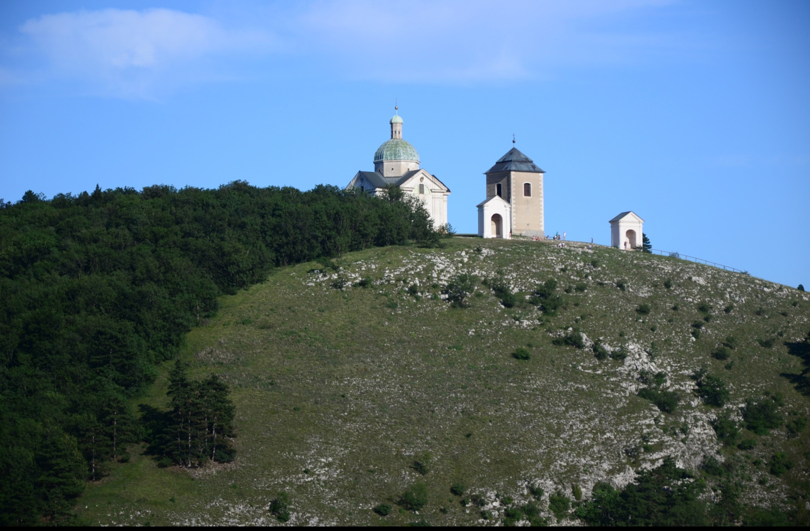 Tapeta tanzberg