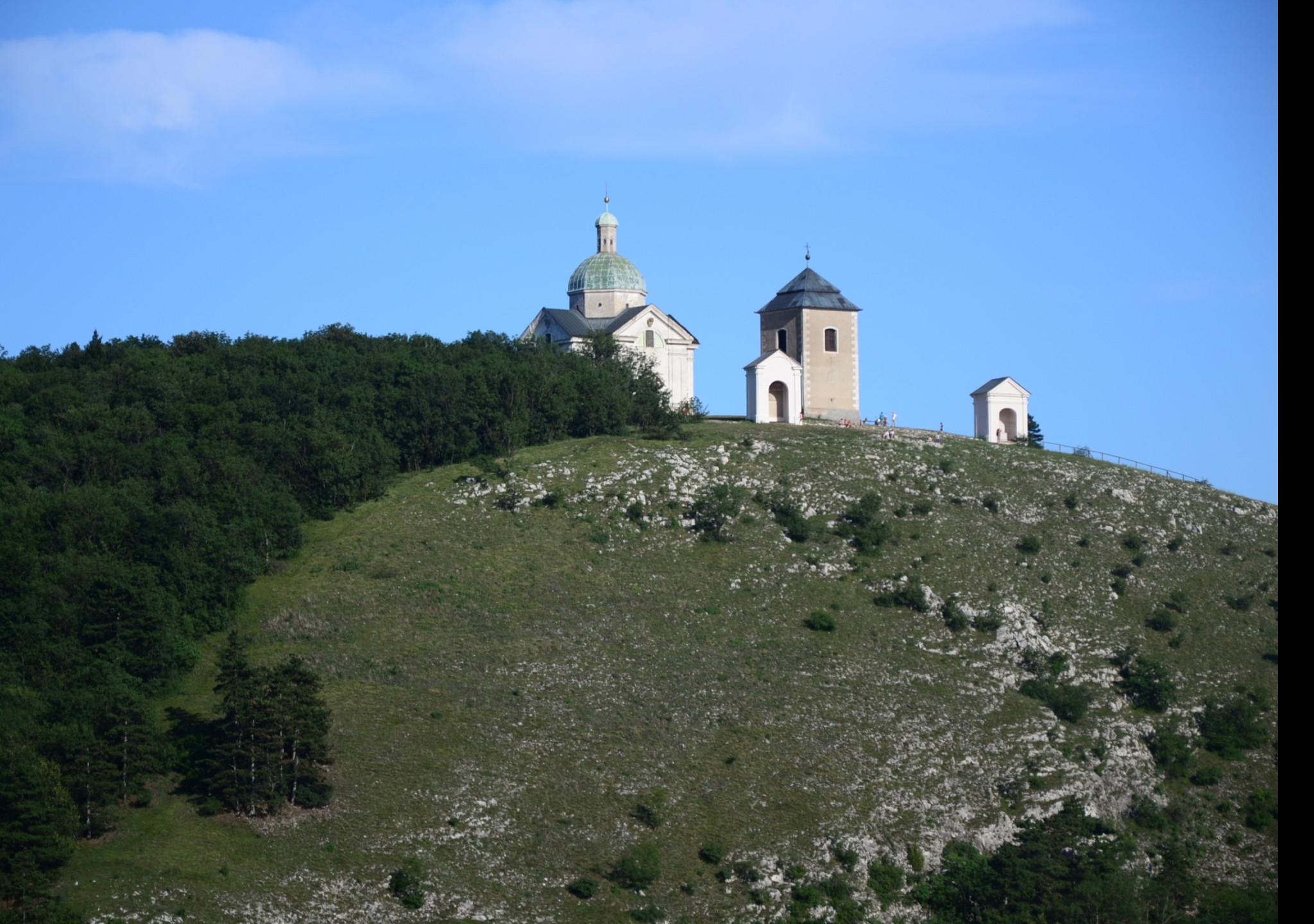 Tapeta tanzberg