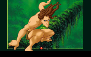 Tapeta tarzan4