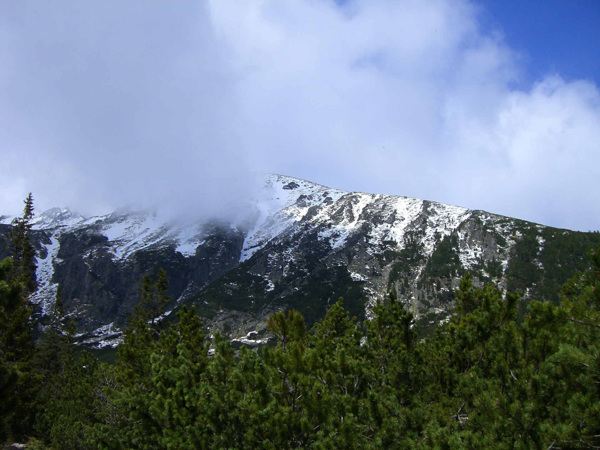 Tapeta tatry___