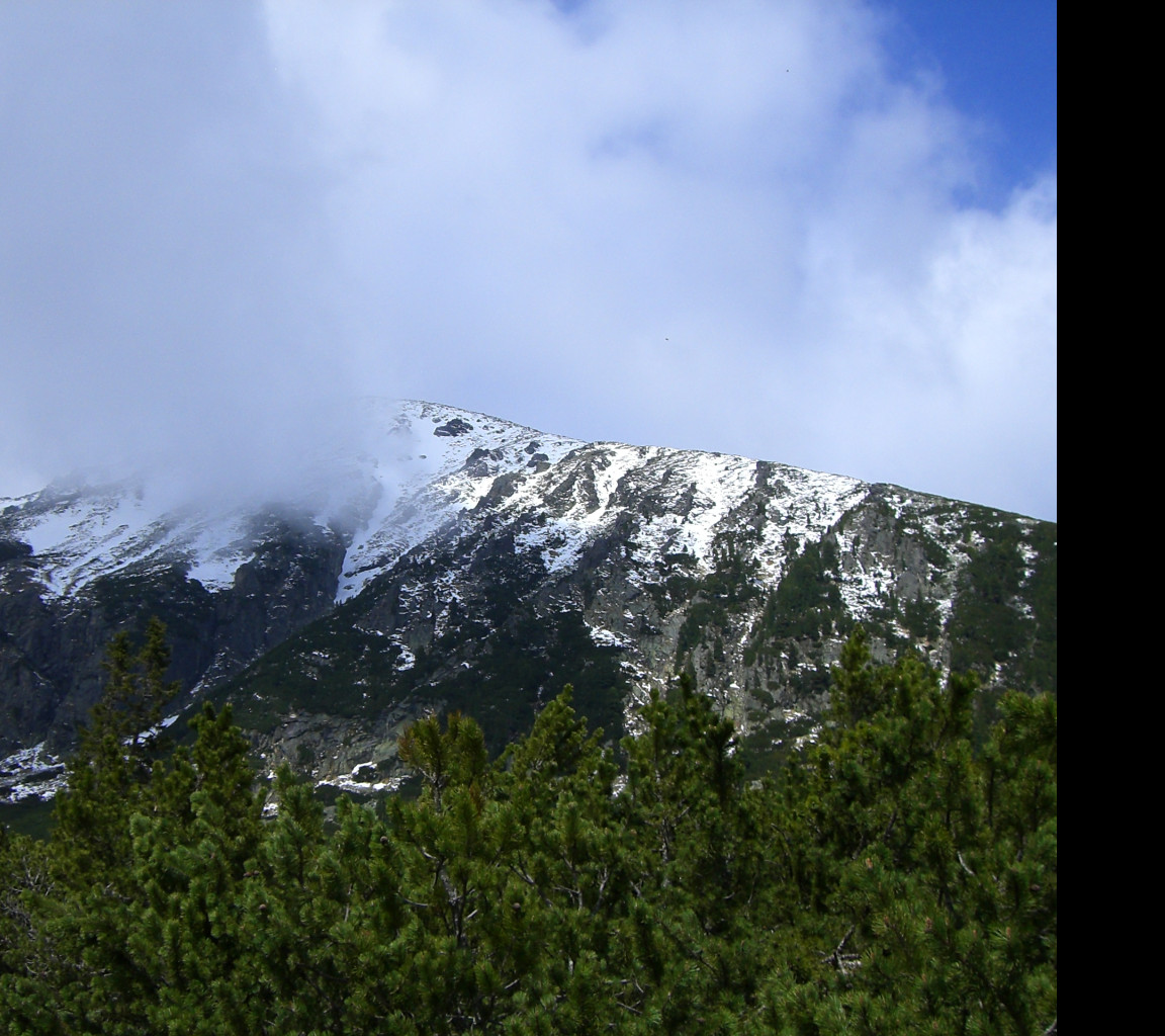 Tapeta tatry___