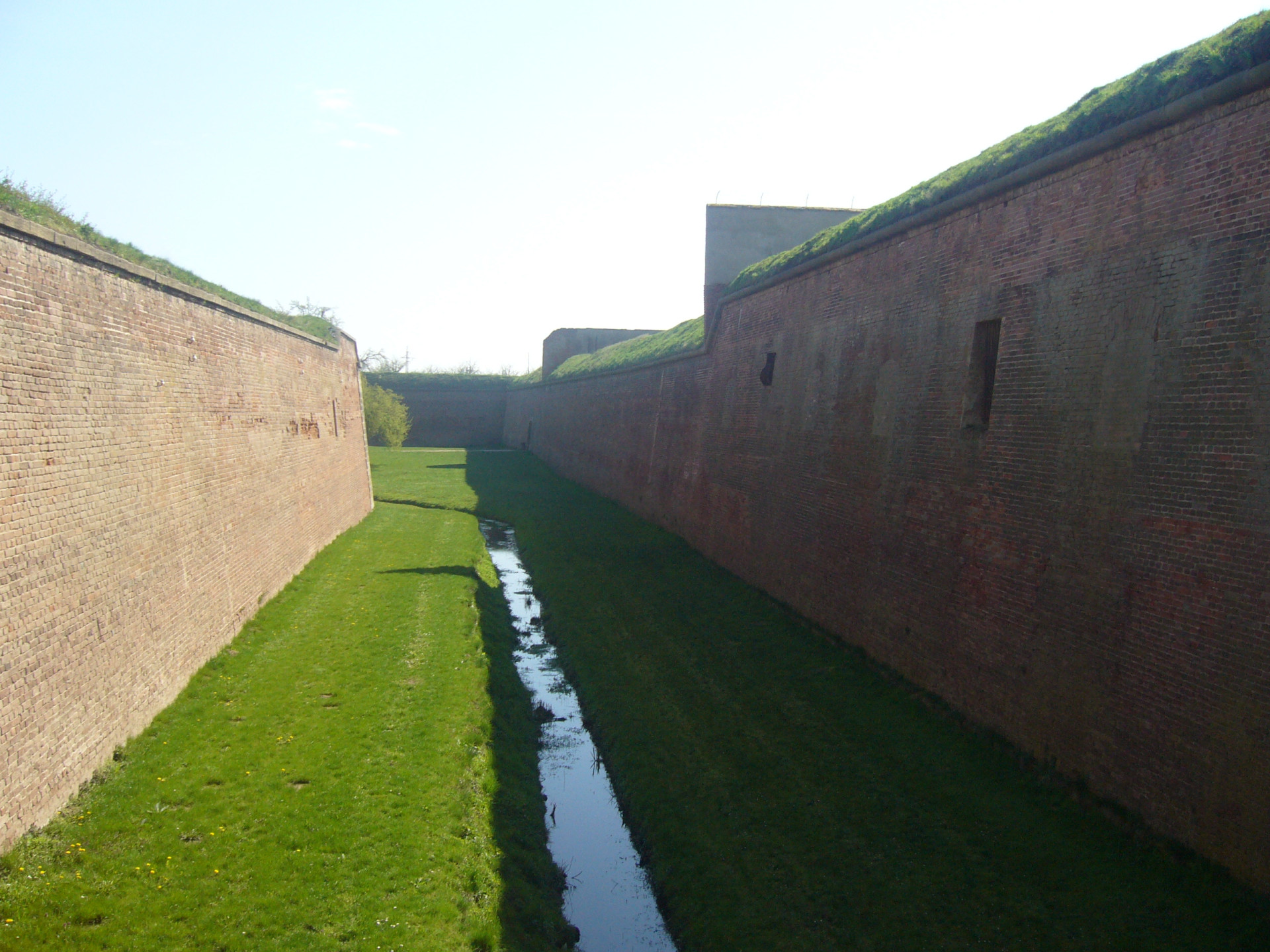 Tapeta terezin