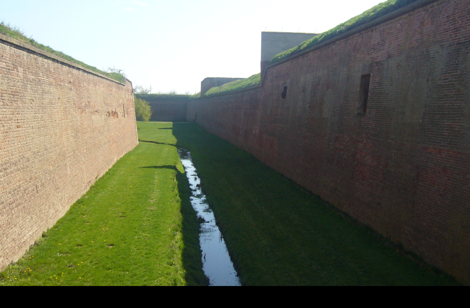 Tapeta terezin