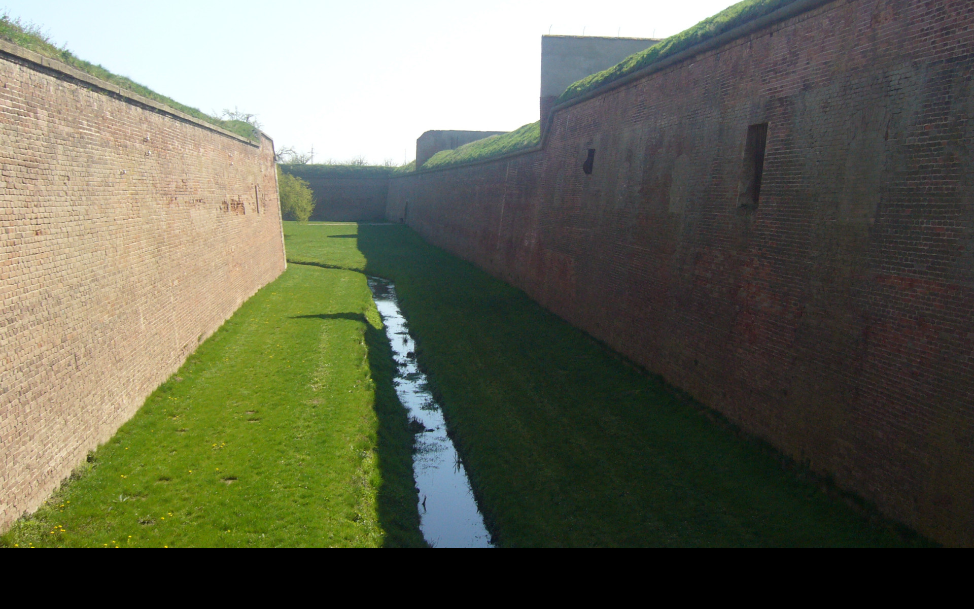 Tapeta terezin