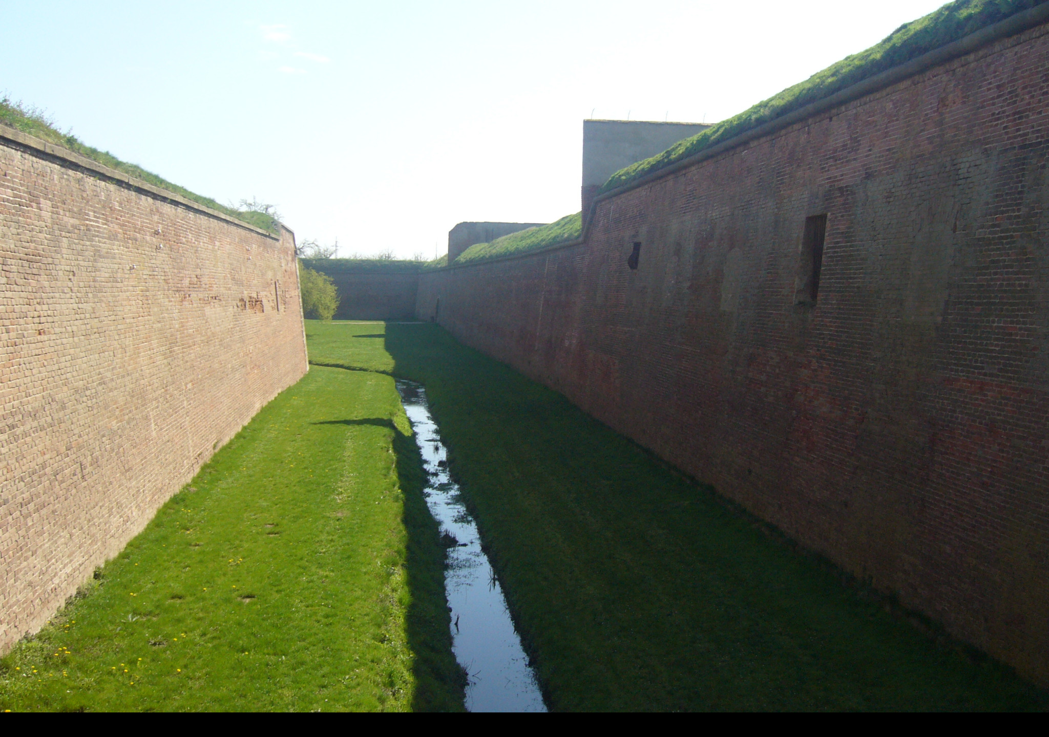 Tapeta terezin