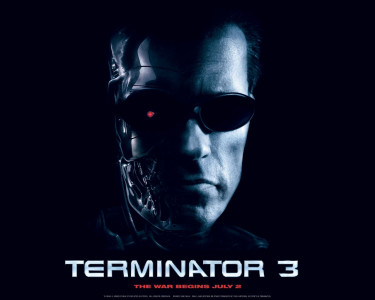 Tapeta: Terminator III 13