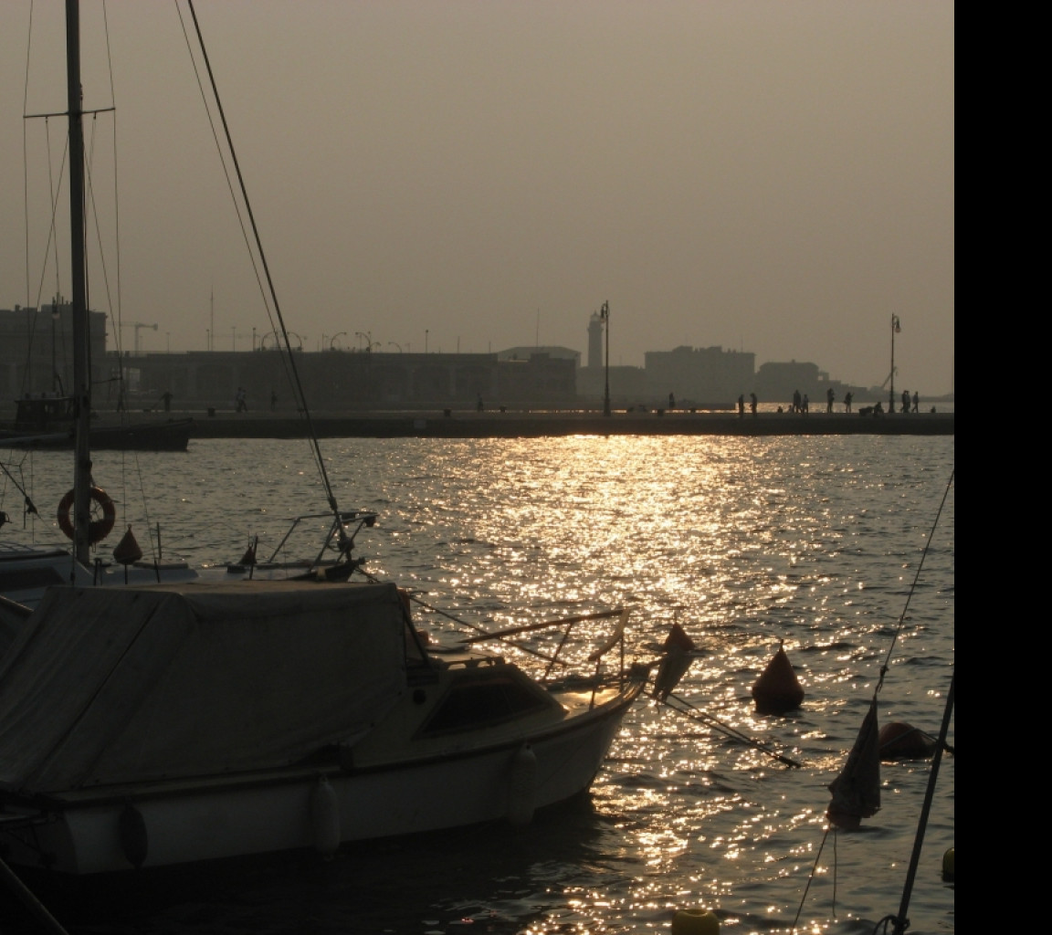 Tapeta terst_2009