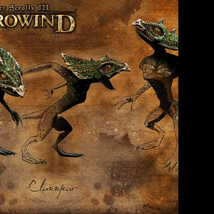 Tapeta tesiiimorrowind