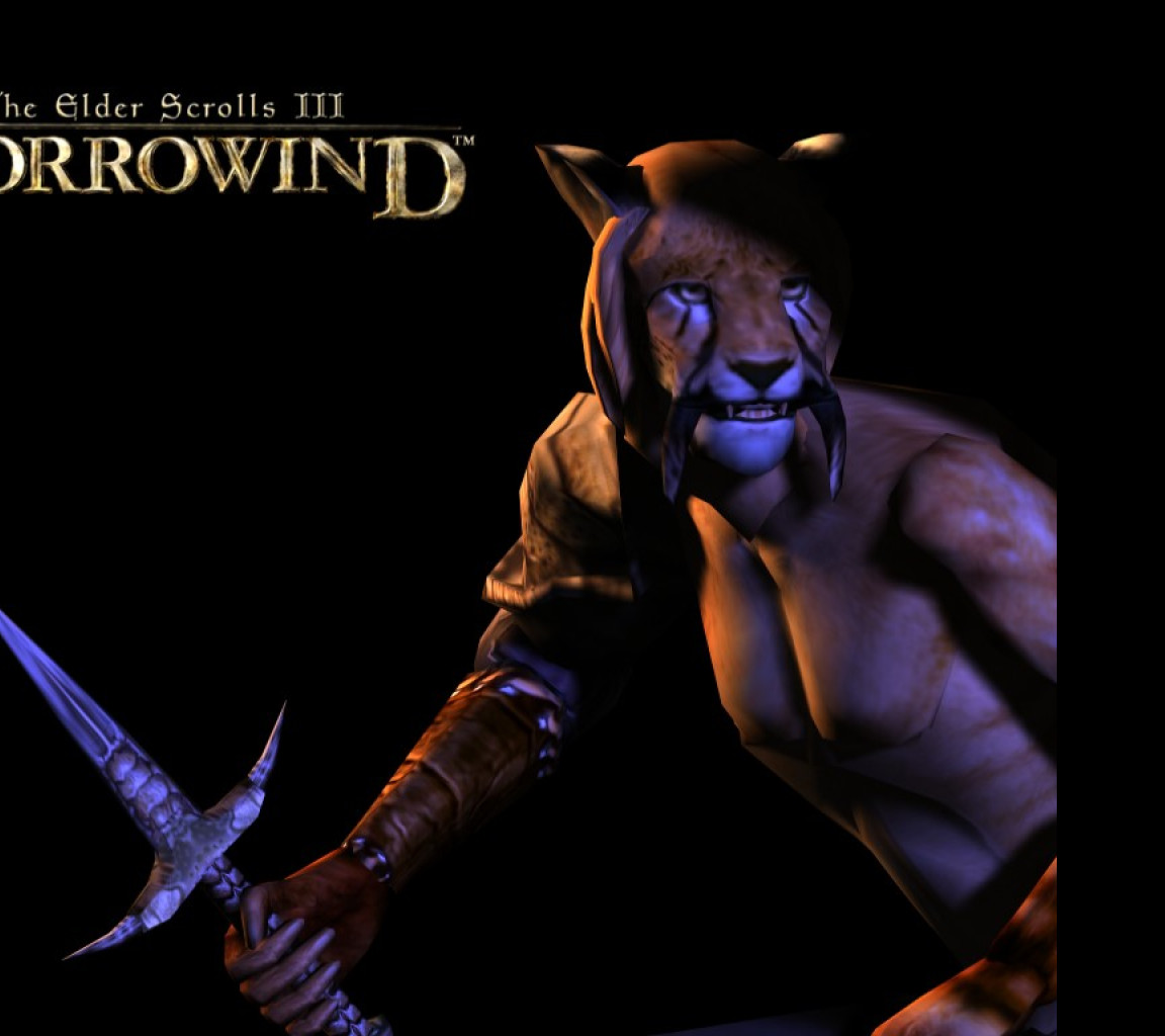 Tapeta tesiiimorrowind2