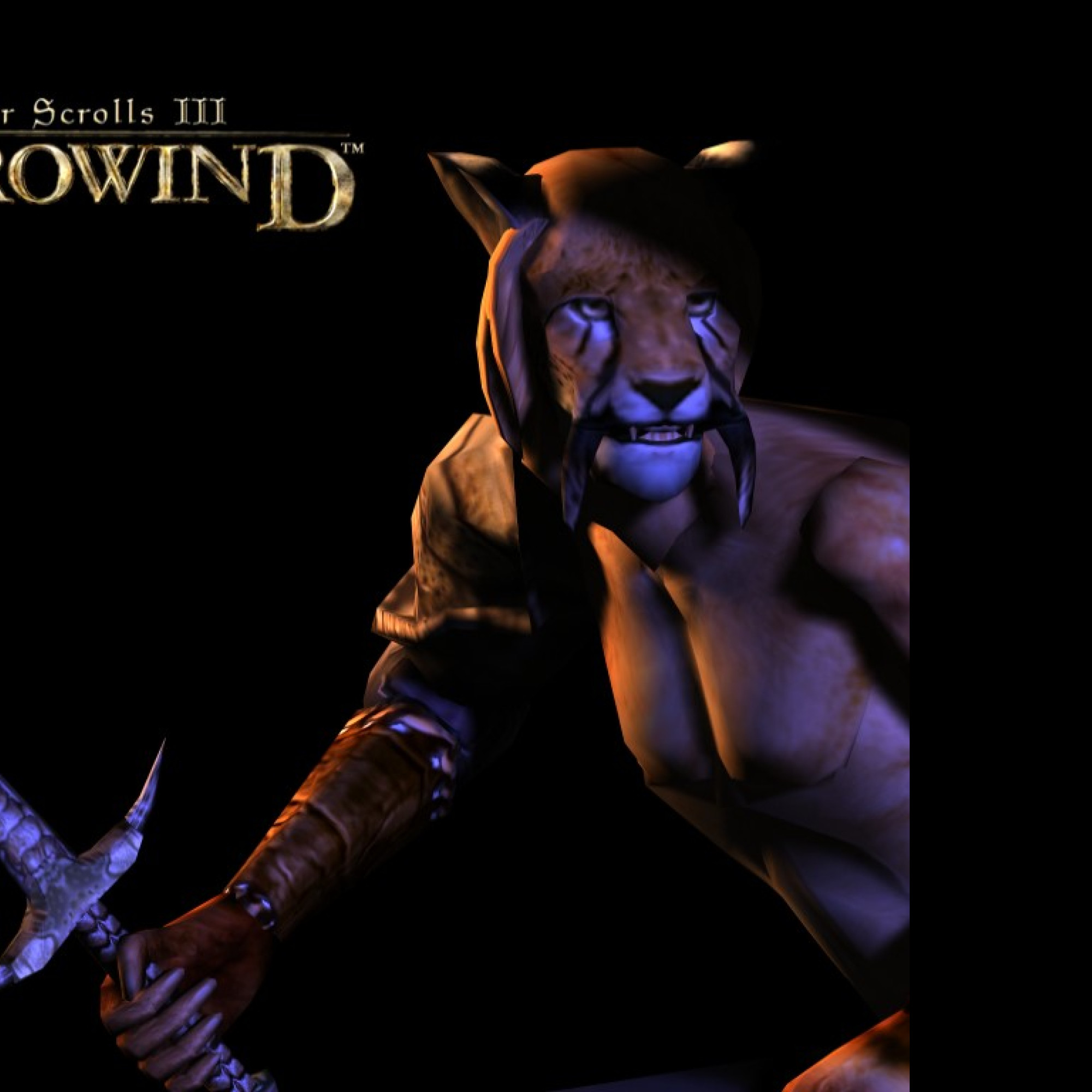 Tapeta tesiiimorrowind2