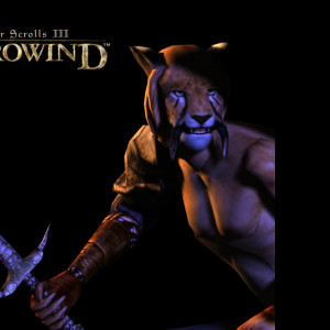 Tapeta tesiiimorrowind2
