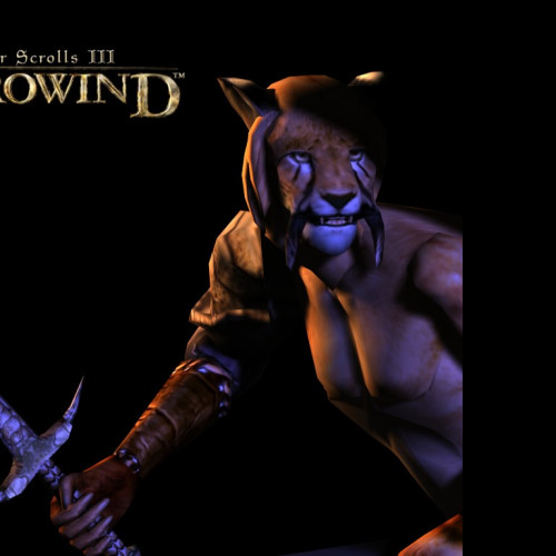 Tapeta tesiiimorrowind2