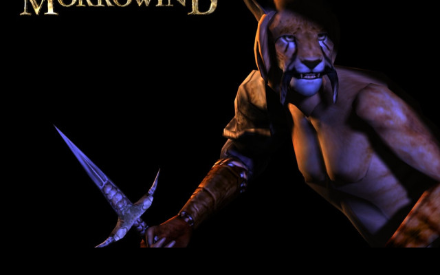 Tapeta tesiiimorrowind2