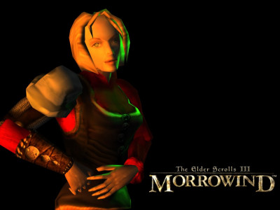 Tapeta: TES III: Morrowind 4