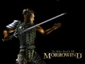 Tapeta TES III: Morrowind 5