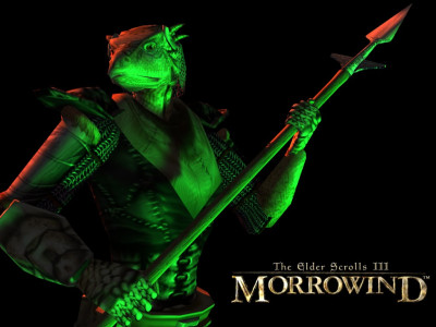 Tapeta: TES III: Morrowind 7