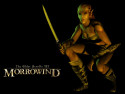 Tapeta TES III: Morrowind 9