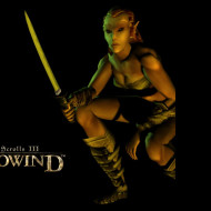 Tapeta tesiiimorrowind9