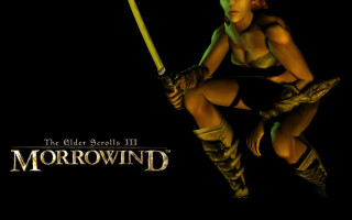 Tapeta tesiiimorrowind9