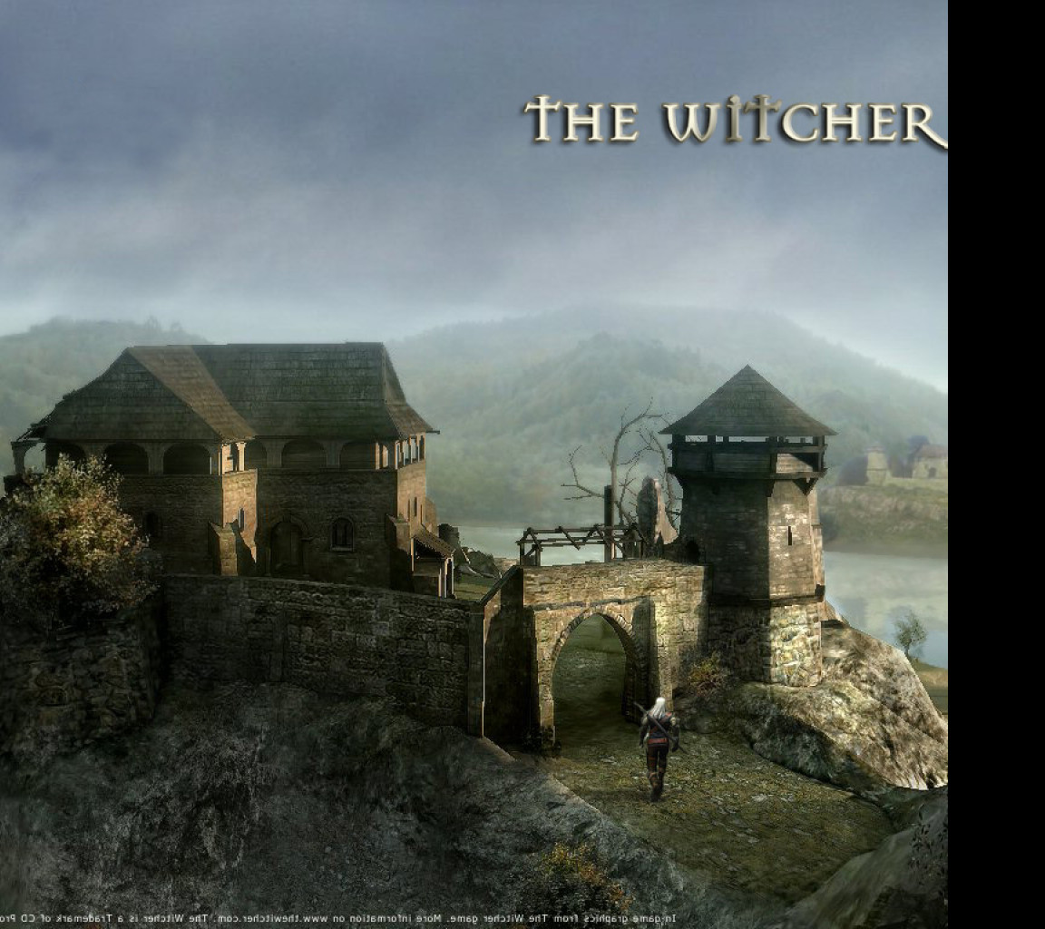 Tapeta the_witcher
