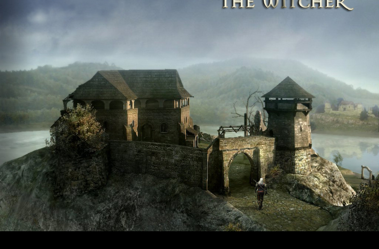 Tapeta the_witcher
