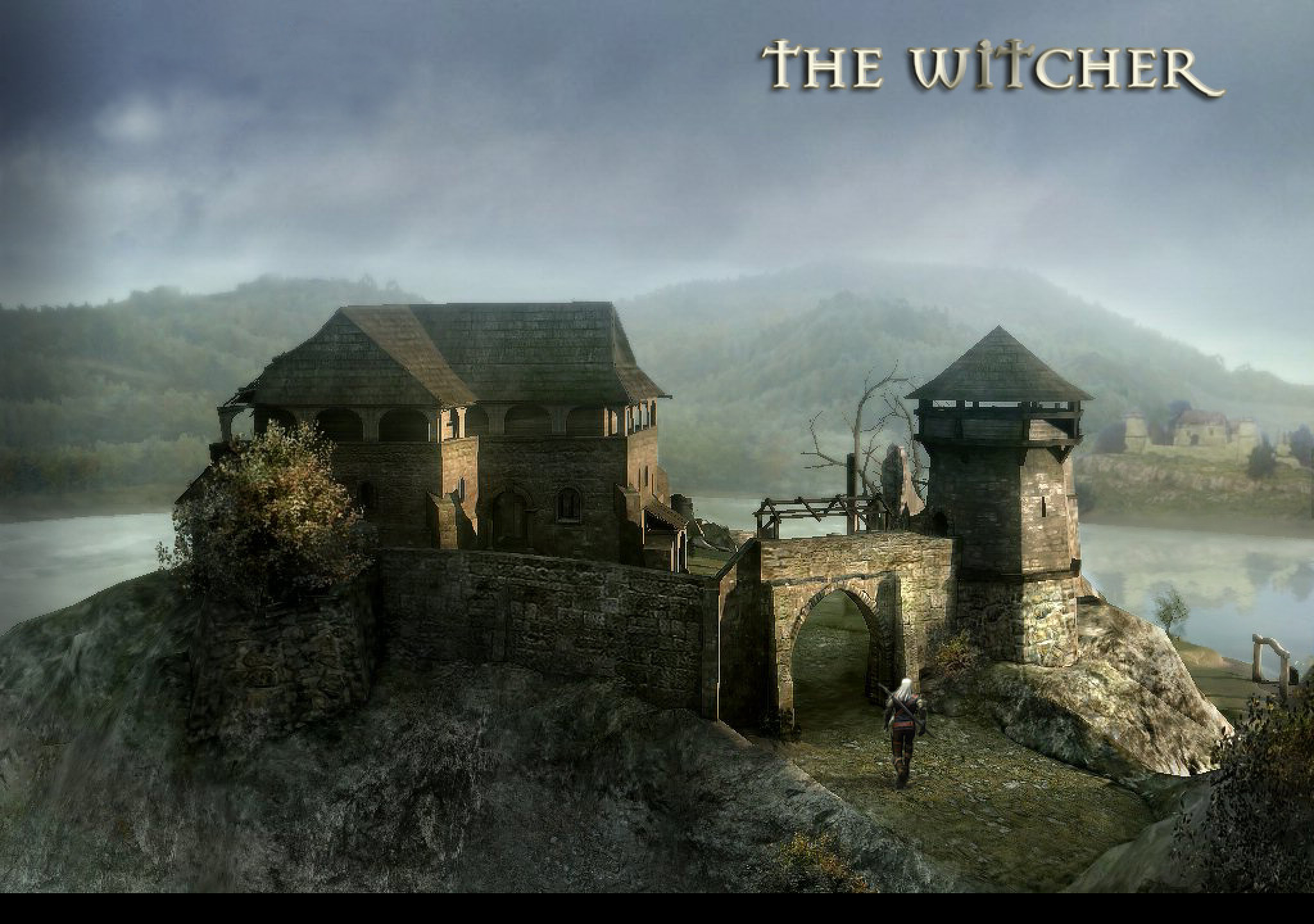 Tapeta the_witcher