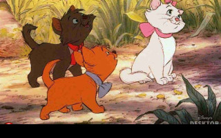 Tapeta thearistocats3