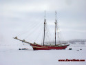 Tapeta The Nooderlicht stuck in Svalbard fjord