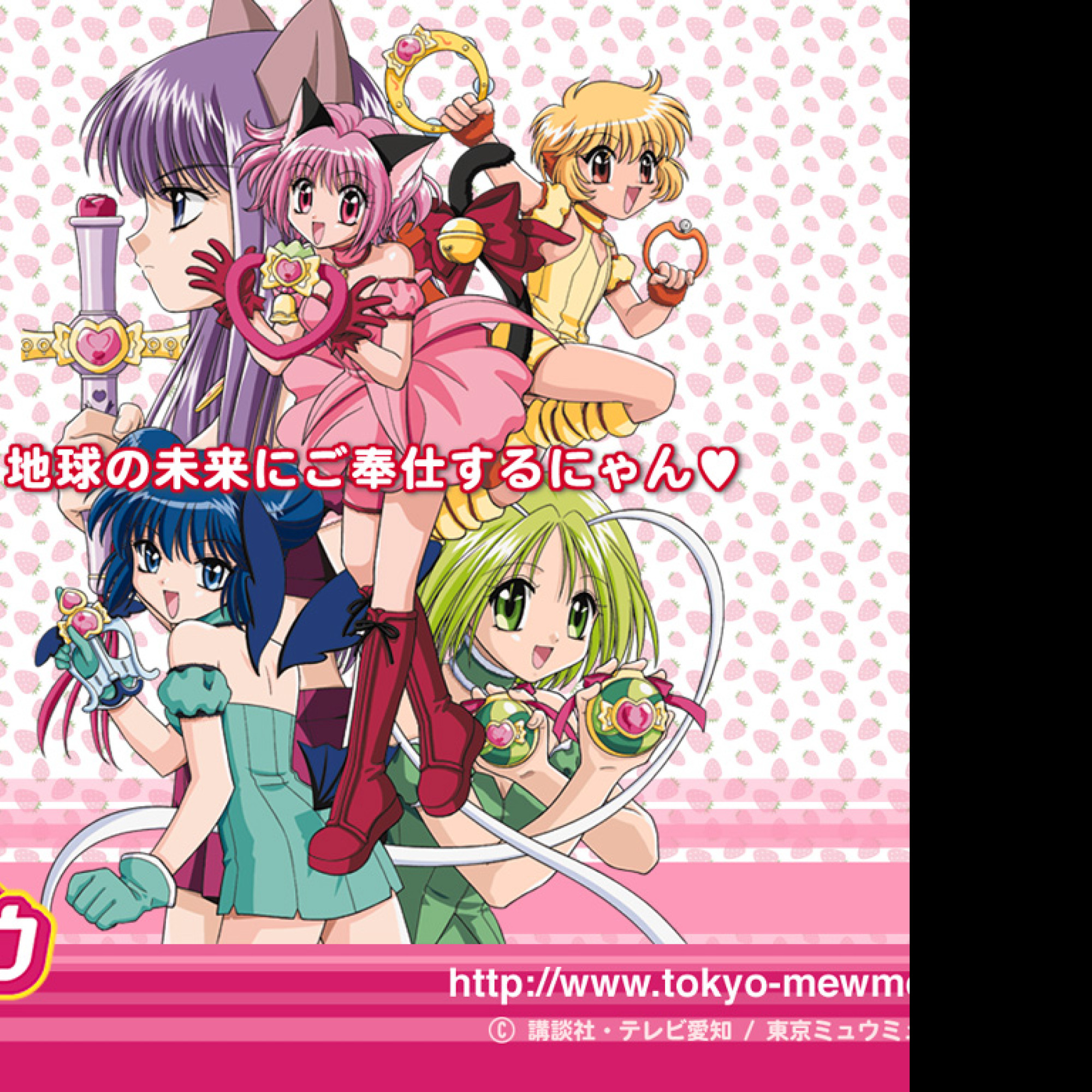 Tapeta tokyo_mew_mew