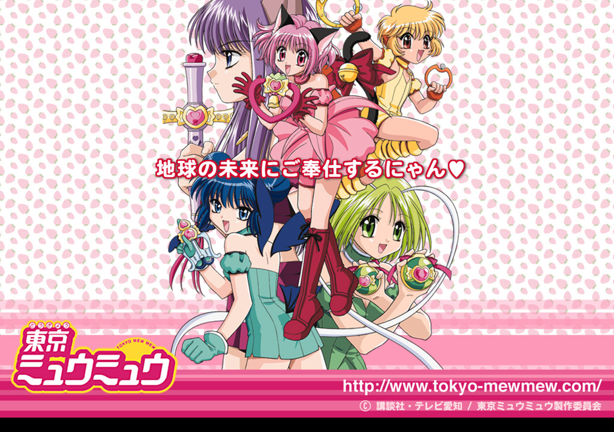 Tapeta tokyo_mew_mew