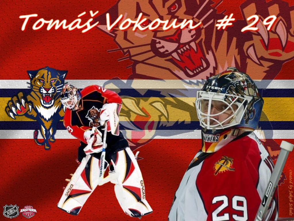 Tapeta tomas_vokoun