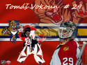 Tapeta Tomas Vokoun